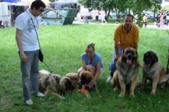 105_bard_mvp_nitra-8