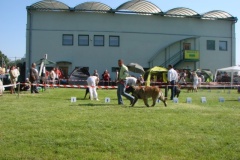 108_gwen_mvp_bratislava-10