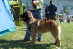 108_gwen_mvp_bratislava-13