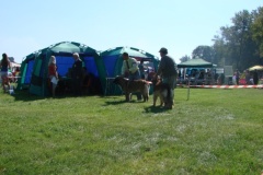 108_gwen_mvp_bratislava-14