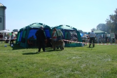 108_gwen_mvp_bratislava-2