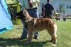 108_gwen_mvp_bratislava-8