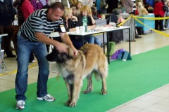 109_gwen_nvp_brno-1
