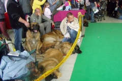 109_gwen_nvp_brno-3