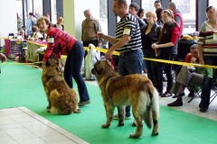 109_gwen_nvp_brno-4