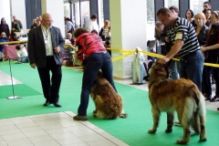 109_gwen_nvp_brno-6