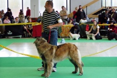109_gwen_nvp_brno-7
