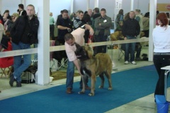 111_flynn_gwen_mvp_nitra-5
