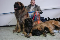 111_flynn_gwen_mvp_nitra-6