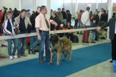 111_flynn_gwen_mvp_nitra-9