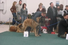 116_flynn_gwen_mvp_trencin-12