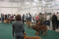 116_flynn_gwen_mvp_trencin-14