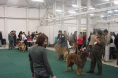 116_flynn_gwen_mvp_trencin-15