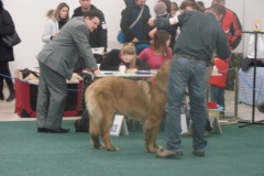116_flynn_gwen_mvp_trencin-2