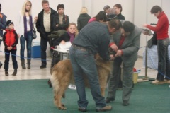 116_flynn_gwen_mvp_trencin-3