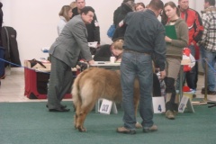116_flynn_gwen_mvp_trencin-5