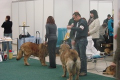 116_flynn_gwen_mvp_trencin-7