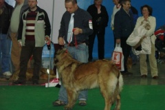 119_flynn_gwen_mvp_brno_2011_2_5-1