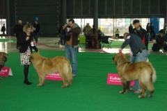 119_flynn_gwen_mvp_brno_2011_2_5-2