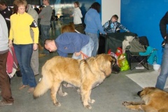 119_flynn_gwen_mvp_brno_2011_2_5-3