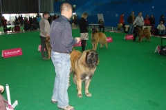119_flynn_gwen_mvp_brno_2011_2_5-5