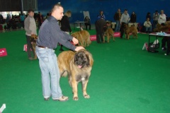 119_flynn_gwen_mvp_brno_2011_2_5-6