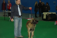 119_flynn_gwen_mvp_brno_2011_2_5-7