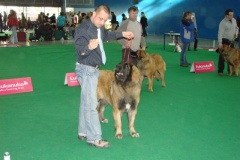 119_flynn_gwen_mvp_brno_2011_2_5-8