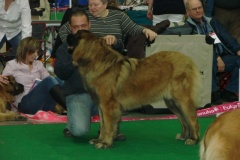 119_flynn_gwen_mvp_brno_2011_2_5-9