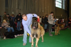 120_flynn_gwen_mvp_brno_2011_2_6-10