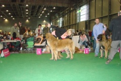 120_flynn_gwen_mvp_brno_2011_2_6-11