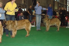 120_flynn_gwen_mvp_brno_2011_2_6-12