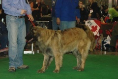 120_flynn_gwen_mvp_brno_2011_2_6-13