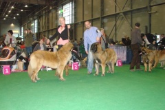 120_flynn_gwen_mvp_brno_2011_2_6-14