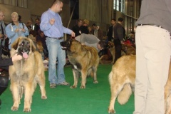120_flynn_gwen_mvp_brno_2011_2_6-2