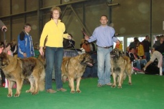 120_flynn_gwen_mvp_brno_2011_2_6-3