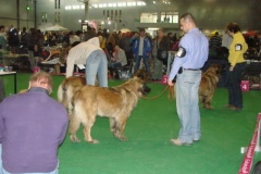 120_flynn_gwen_mvp_brno_2011_2_6-6
