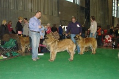 120_flynn_gwen_mvp_brno_2011_2_6-7