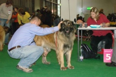 120_flynn_gwen_mvp_brno_2011_2_6-9