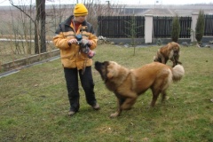 121_navsteva_u_belindy_roy_happy_leon-28