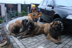 121_navsteva_u_belindy_roy_happy_leon-44