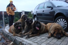 121_navsteva_u_belindy_roy_happy_leon-9