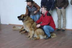123_bonitace_gwen-8