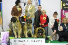 124_bard_gwen_flynn_nvp_ostrava-16