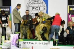 124_bard_gwen_flynn_nvp_ostrava-3