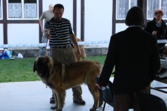 125_bard_gwen_flynn_kv_mlada_boleslav-14