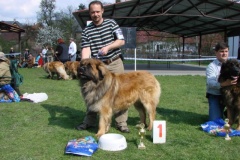 125_bard_gwen_flynn_kv_mlada_boleslav-17