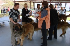 125_bard_gwen_flynn_kv_mlada_boleslav-21