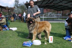 125_bard_gwen_flynn_kv_mlada_boleslav-24