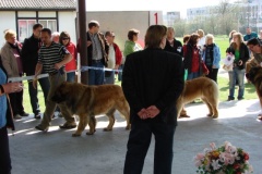 125_bard_gwen_flynn_kv_mlada_boleslav-25